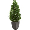image:imageNearly Natural 56in Bay Leaf Cone Topiary Artificial Tree UV Resistant in Black Planter IndoorOutdoor