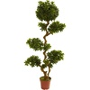 image:imageNearly Natural 5ft Pittosporum UV Resistant IndoorOutdoor
