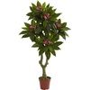 image:imageNearly Natural 5ft Plumeria Tree UV Resistant IndoorOutdoor