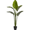 image:imageNearly Natural 60in Travelers Palm Tree UV Resistant IndoorOutdoor