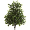 image:imageNearly Natural 6112S2 Bush Set f 2 IndoorOutdoor 2 PieceGreen