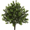 image:imageNearly Natural 6113S6 Sweet Grass Bush Set of 6 IndoorOutdoor 6 PieceGreen