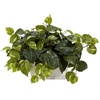 image:imageNearly Natural 6713 Pothos with White Wash Planter Decorative Silk Plant Green205 x 12 x 6