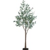 image:imageNearly Natural 6FT Artificial Fruiting Olive Tree with 280 Warm White LED Lights Faux Olive Tree Indoor Home Dcor Prelit with Lifelike Fruits and Sturdy Base Stand