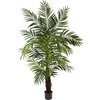 image:imageNearly Natural 6ft Areca Palm Tree