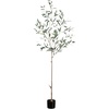 image:imageNearly Natural 6ft Artificial Olive Tree  Slim Minimalist Design with Lifelike Faux Olives Flexible Branches Includes Nursery Planter