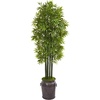 image:imageNearly Natural 6ft Bamboo Artificial Tree with Black Trunks in Planter UV Resistant IndoorOutdoor