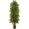 image:imageNearly Natural 6ft Four Tier Mini Ficus Artificial Tree UV Resistant IndoorOutdoor
