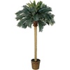 image:imageNearly Natural 6ft Sago Palm Silk Tree