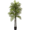 image:imageNearly Natural 7ft Double Robellini Palm Tree UV Resistant IndoorOutdoor