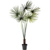 image:imageNearly Natural 7ft Fan Palm Tree UV Resistant IndoorOutdoor