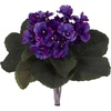image:imageNearly Natural 9 in Artificial African Violet Plant Set of 6Purple