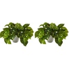 image:imageNearly Natural 9 in Artificial Pothos Real Touch Plant with White Planter1 Count Pack of 2