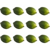 image:imageNearly Natural Faux Limes Set of 12