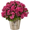 image:imageNearly Natural Geranium Silk Flowering Plant in Farmhouse Planter UV Resistant IndoorOutdoorBeauty