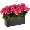 image:imageNearly Natural Geranium Silk Plant in Rectangular Planter UV Resistant IndoorOutdoorBeauty