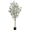 image:imageNearly Natural Greco Olive Tree Artificial Indoor 7FT Tall Designer Ultra Realistic Thick Trunk Faux Olive Tree for Home and Office Decor Fake Olive Tree with Olive Tree Branches and Lifelike Fruits
