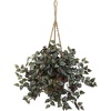 image:imageNearly Natural Wandering Jew Hanging Basket