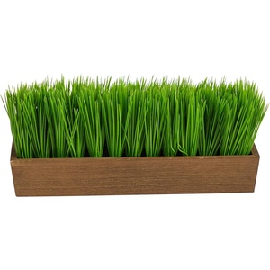 image:image12in Grass Artificial Plant in Decorative Planter