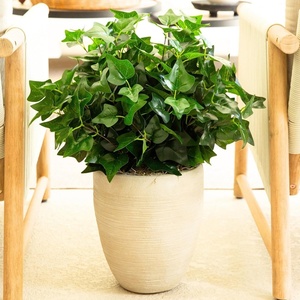 image:imageNearly Natural 19in UV Resistant Artificial Puff Ivy Bush IndoorOutdoor  Set of 3