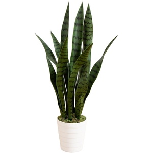 image:imageNearly Natural 2 ft Artificial Sansevieria Plant UVResistant Porch Decor