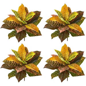 image:imageNearly Natural 21 in Artificial Garden Croton RealTouch Plant Room Decor