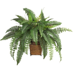 image:imageNearly Natural 23 in Artificial Boston Fern with Wicker Basket