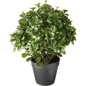 image:imageNearly Natural 23 in Artificial Peperomia UVResistant Outdoor Porch DecorGreen