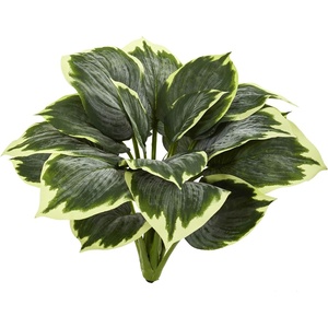 image:imageNearly Natural 23 in Variegated Hosta Artificial Plant Set of 6