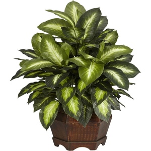 image:imageNearly Natural 24 in Artificial Golden Dieffenbachia Plant with Pot