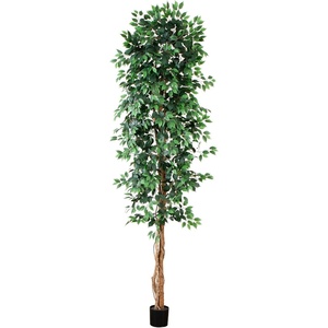 image:imageNearly Natural 3 ft Artificial Ficus Tree with Natural Wood Trunks10ft