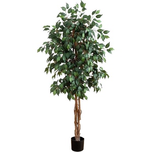 image:imageNearly Natural 3 ft Artificial Ficus Tree with Natural Wood Trunks5ft