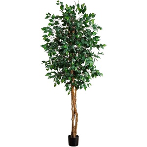 image:imageNearly Natural 3 ft Artificial Ficus Tree with Natural Wood Trunks6ft 2in