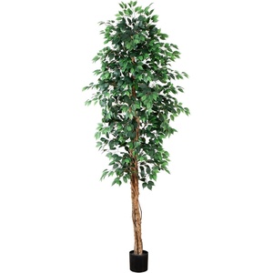 image:imageNearly Natural 3 ft Artificial Ficus Tree with Natural Wood Trunks9ft