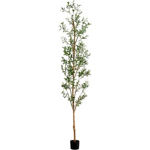 image:imageNearly Natural 3 ft Artificial Olive Tree with Natural Trunk for Decor9ft