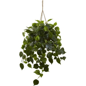 image:imageNearly Natural 36 in Artificial Philodendron Hanging Basket Outdoor Decor