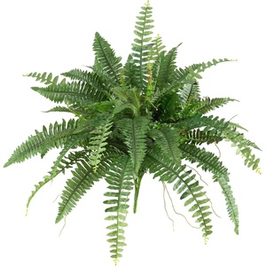 image:imageNearly Natural 40 in Artificial Boston Fern Indoor Plant Set of 240 In W x 15 In H