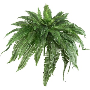 image:imageNearly Natural 40 in Artificial Boston Fern Indoor Plant Set of 248 In W x 21 In H