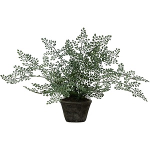 image:imageNearly Natural 4251 Maiden Hair Artificial Plant in Planter Green Small