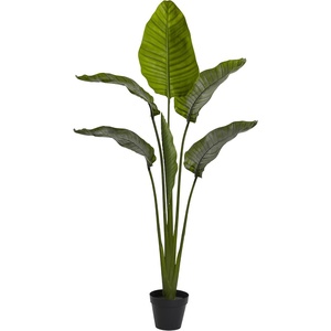 image:imageNearly Natural 60in Travelers Palm Tree UV Resistant IndoorOutdoor
