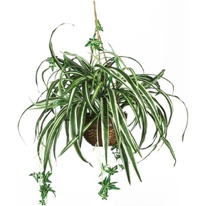 image:imageNearly Natural 6607 Spider Hanging Basket Decorative Silk Plant Green1025 x 1025 x 175
