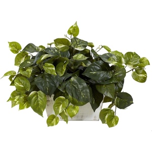 image:imageNearly Natural 6713 Pothos with White Wash Planter Decorative Silk Plant Green205 x 12 x 6