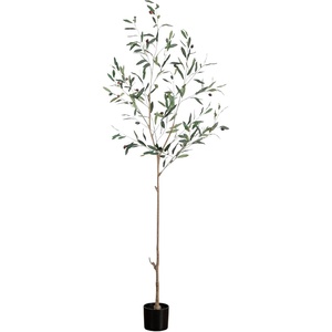 image:imageNearly Natural 6ft Artificial Olive Tree  Slim Minimalist Design with Lifelike Faux Olives Flexible Branches Includes Nursery Planter