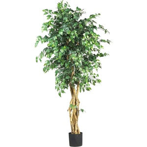 image:imageNearly Natural 6ft Palace Style Ficus Silk Tree