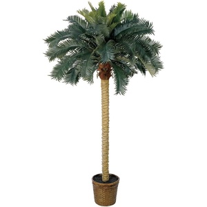 image:imageNearly Natural 6ft Sago Palm Silk Tree