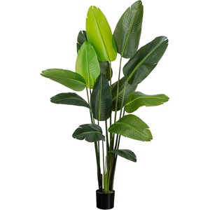 image:imageNearly Natural 6ft UV Resistant Travelers Palm Artificial Tree  Lifelike IndoorOutdoor Faux Palm with Nursery Planter Bendable Branches Premium Crafted Leaves for Home Office or Outdoor Decor