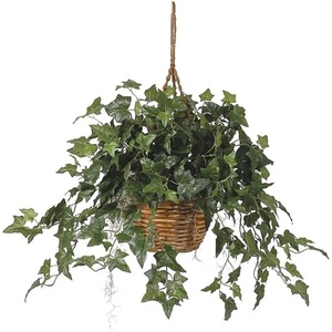 image:imageNearly Natural English Ivy Hanging Basket 36 in x 36 in x 26 in Green