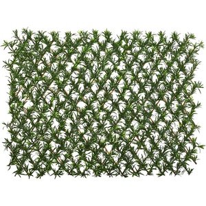 image:imageNearly Natural Expandable Podocarpus Fence UV Resistant amp Waterproof