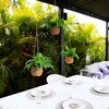 image:imageNearly Natural 10in Artificial Boston Ferns in Hanging Wicker Baskets Set of 3 Fake Ferns for IndoorOutdoor Use Hanging Basket for Patio Decoration UV Resistant