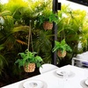 image:imageNearly Natural 10in Artificial Boston Ferns in Hanging Wicker Baskets Set of 3 Fake Ferns for IndoorOutdoor Use Hanging Basket for Patio Decoration UV Resistant